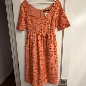 Zara Basic peach floral lace eyelet midi dress XS BNWT